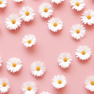 iPhone pink flower wallpaper