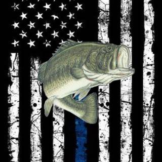 Bass iPhone wallpaper