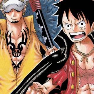 One Piece Law phone wallpaper