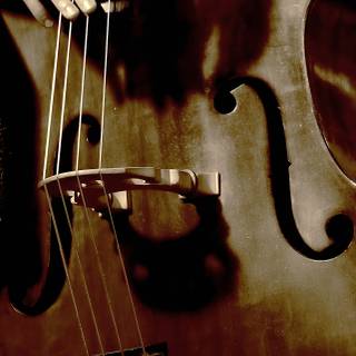 iPhone bass wallpaper