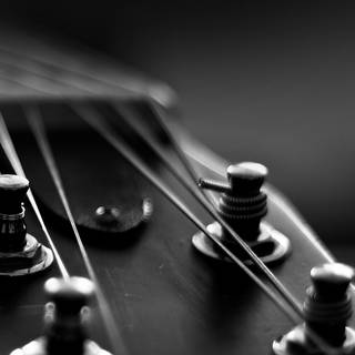 iPhone bass wallpaper