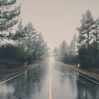 Rain aesthetic iPhone wallpaper