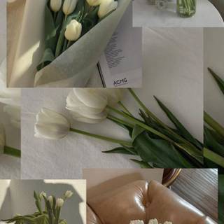 Tulips aesthetic iPhone wallpaper