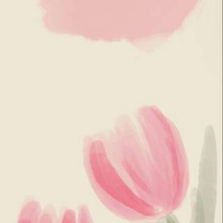 Tulips aesthetic iPhone wallpaper