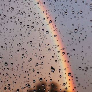 Rain aesthetic iPhone wallpaper