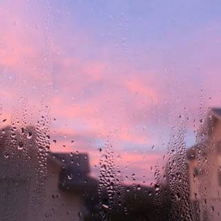 Rain aesthetic iPhone wallpaper