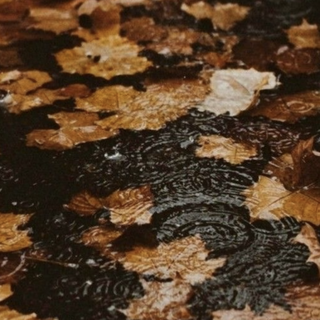 Rain aesthetic iPhone wallpaper