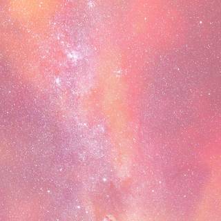 Tulips aesthetic iPhone wallpaper