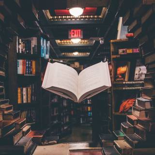 iPhone 12 book wallpaper