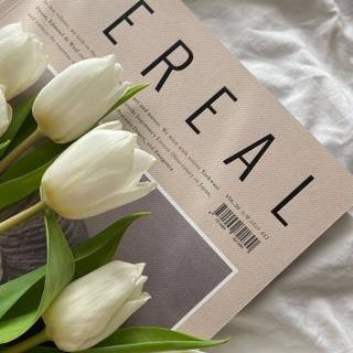 Tulips aesthetic iPhone wallpaper