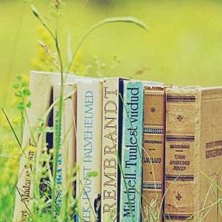 iPhone 12 book wallpaper