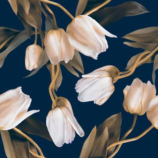 Tulips aesthetic wallpaper