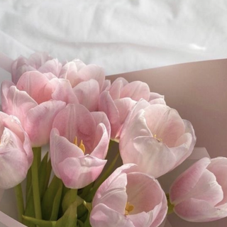 Tulips aesthetic iPhone wallpaper