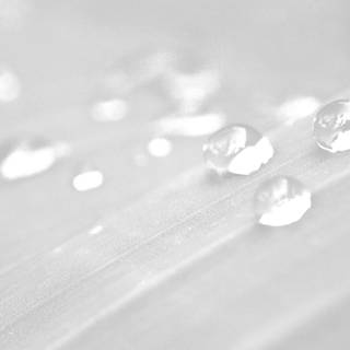 Rain aesthetic iPhone wallpaper