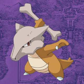 Ground type Pokémon wallpaper