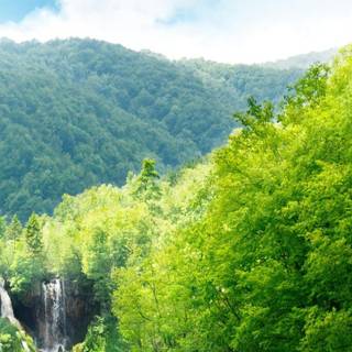 4k summer phone wallpaper