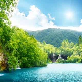 4k nature summer wallpaper