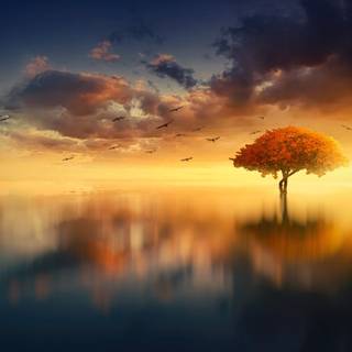 4k nature summer wallpaper