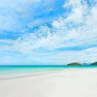 4k nature summer wallpaper