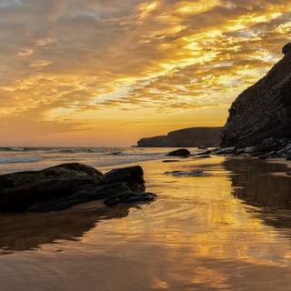 4k nature summer wallpaper