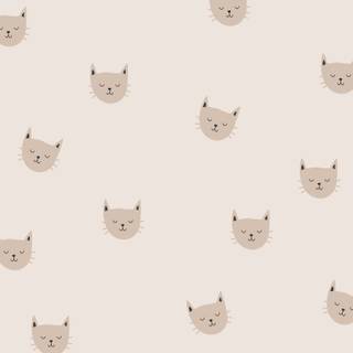 Simple cat spring wallpaper