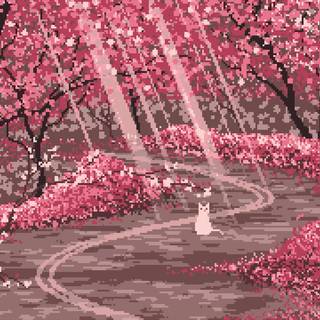 Simple cat spring wallpaper