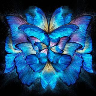 Vivo X Fold 3 wallpaper