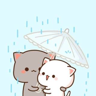 Mochi Peach Cat wallpaper