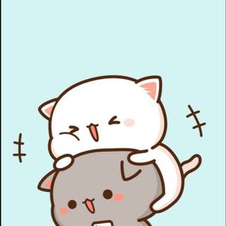 Mochi Peach Cat wallpaper