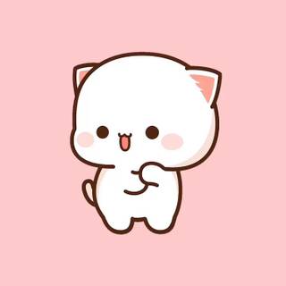 Mochi Peach Cat wallpaper