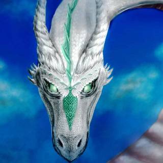 White and blue Wyvern wallpaper