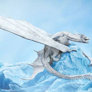 White and blue Wyvern wallpaper