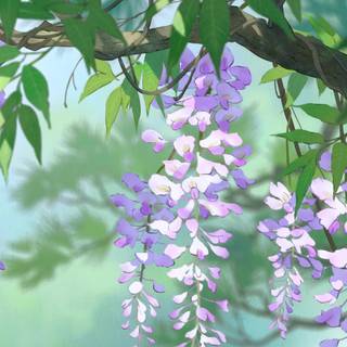 Heike Monogatari wallpaper