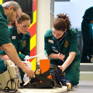 Paramedic student wallpaper