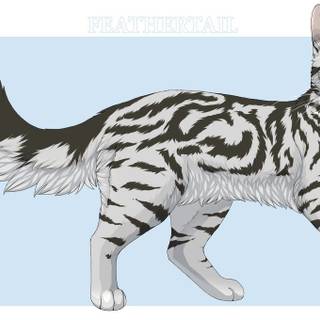 Warrior Cats Feathertail wallpaper