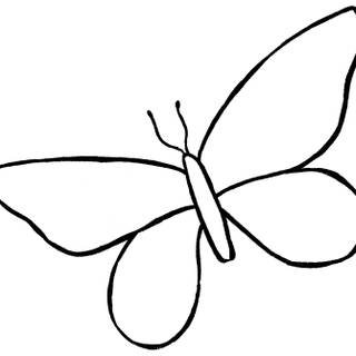 Butterfly drawing easy wallpaper