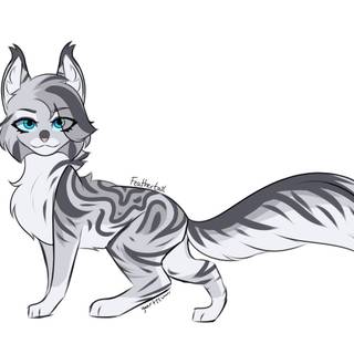 Warrior Cats Feathertail wallpaper