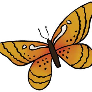 Butterfly drawing easy wallpaper