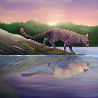 Warrior Cats Feathertail wallpaper