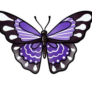 Butterfly drawing easy wallpaper