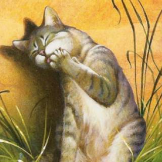 Warrior Cats Feathertail wallpaper