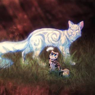 Warrior Cats Feathertail wallpaper