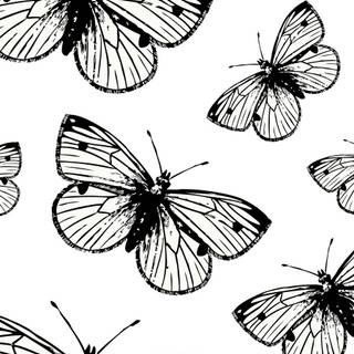 Butterfly drawing easy wallpaper