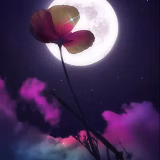 Moon with flowers wallpaper