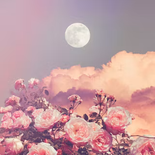 Moon with flowers wallpaper