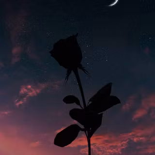 Moon with flowers wallpaper