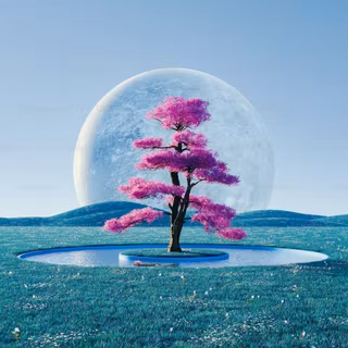 Moon with flowers wallpaper