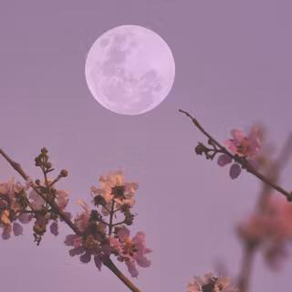 Moon with flowers wallpaper