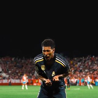 Bellingham 4k iPhone wallpaper