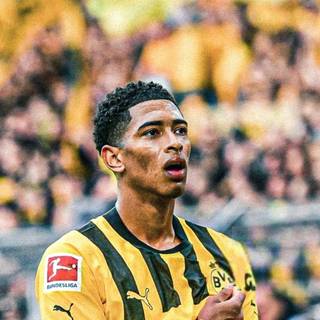 Bellingham 4k iPhone wallpaper